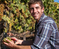 Young man working in a vineyard